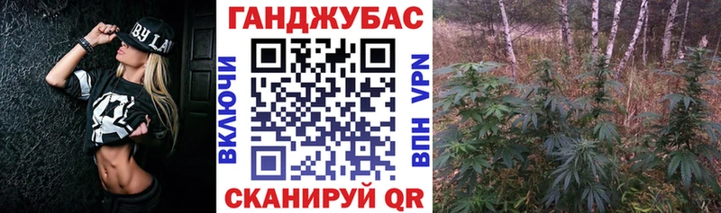 Шишки марихуана THC 21%  omg зеркало  Славгород  сколько стоит 
